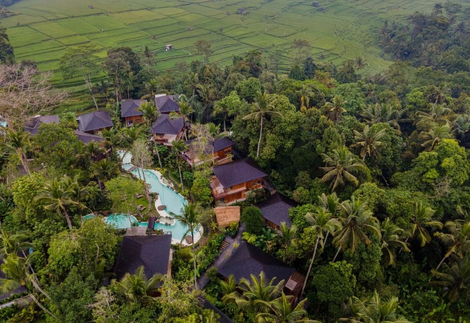 Best Ubud Hotels with a Stunning Jungle View Infinity Pool