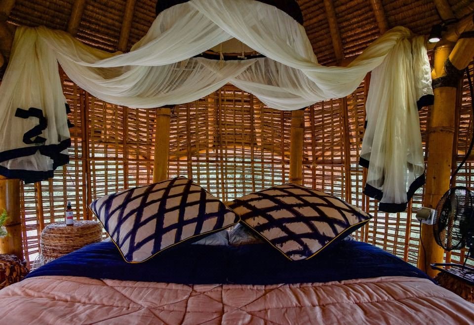 Firefly Eco-Lodge nature setting